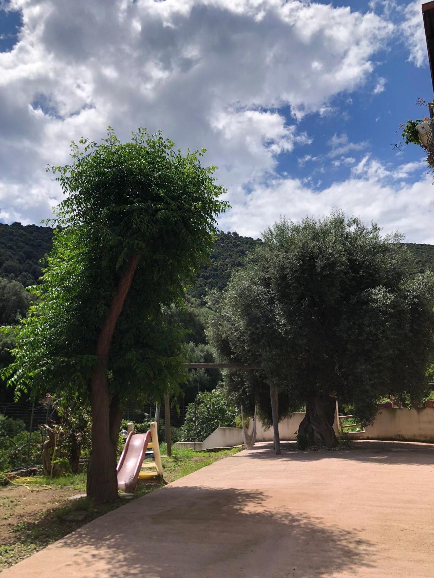 קרדדו Appartamento Maremontagna מראה חיצוני תמונה