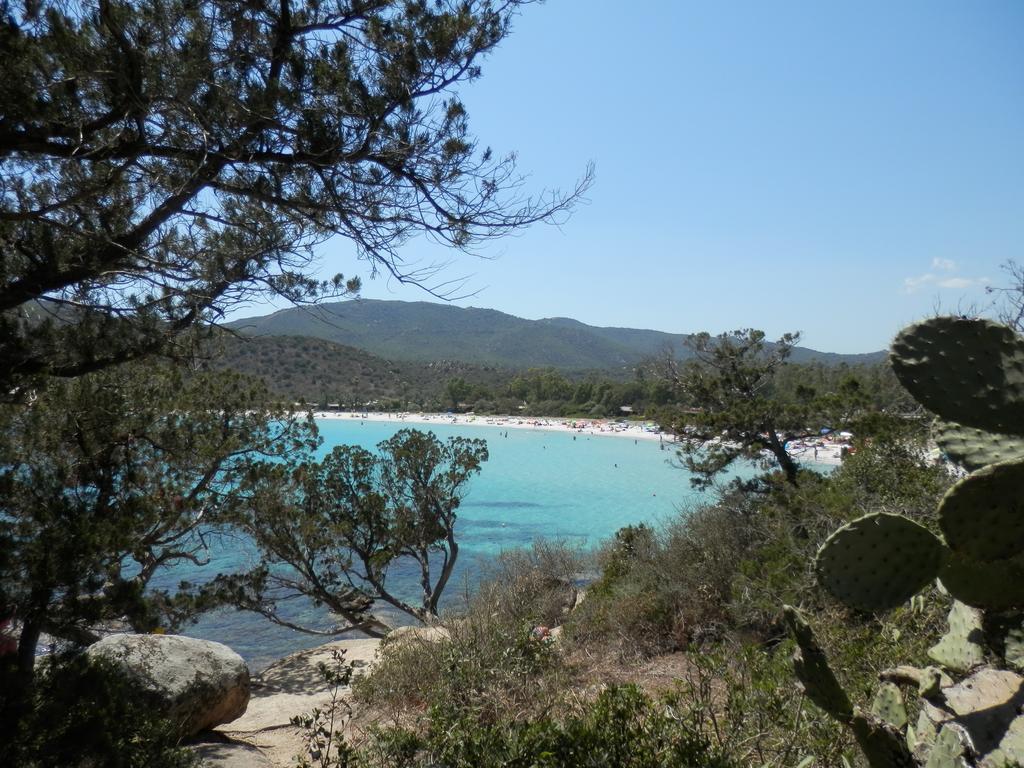 קרדדו Appartamento Maremontagna מראה חיצוני תמונה